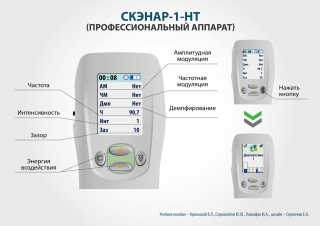СКЭНАР-1-НТ (исполнение 01)  в Комсомольске-на-амуре купить Медицинская техника - denasosteo.ru 